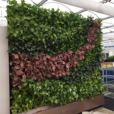 green wall plant rental