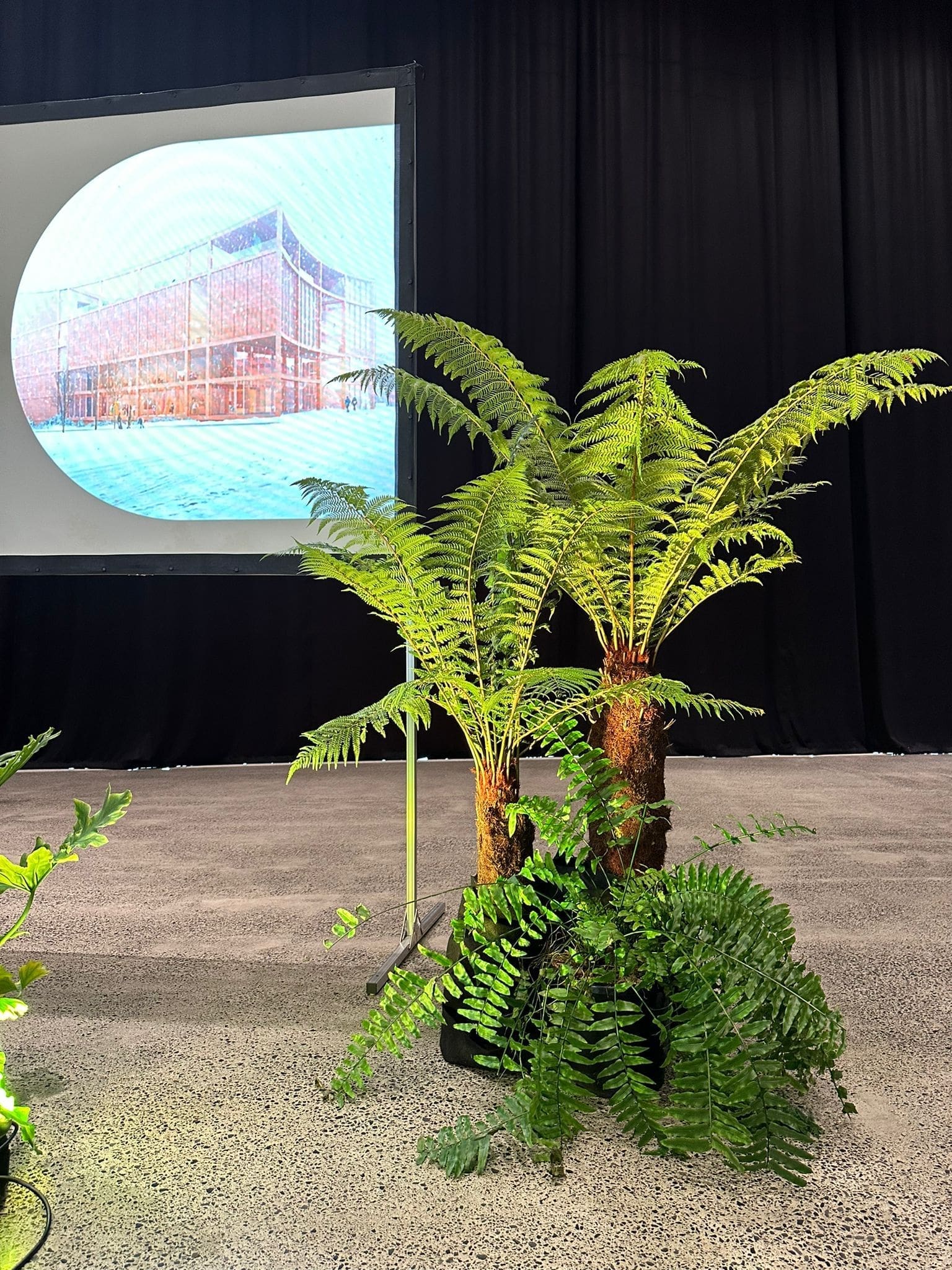 stage plant rental