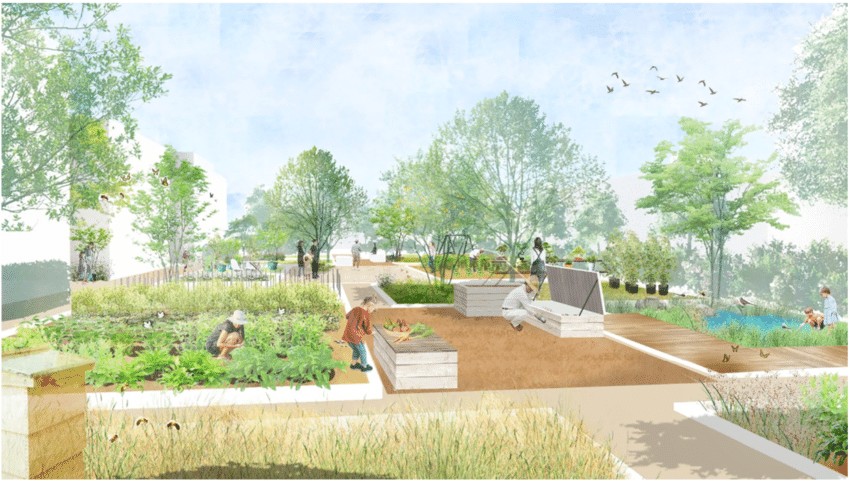 Build Edible Garden That Grows Food 247