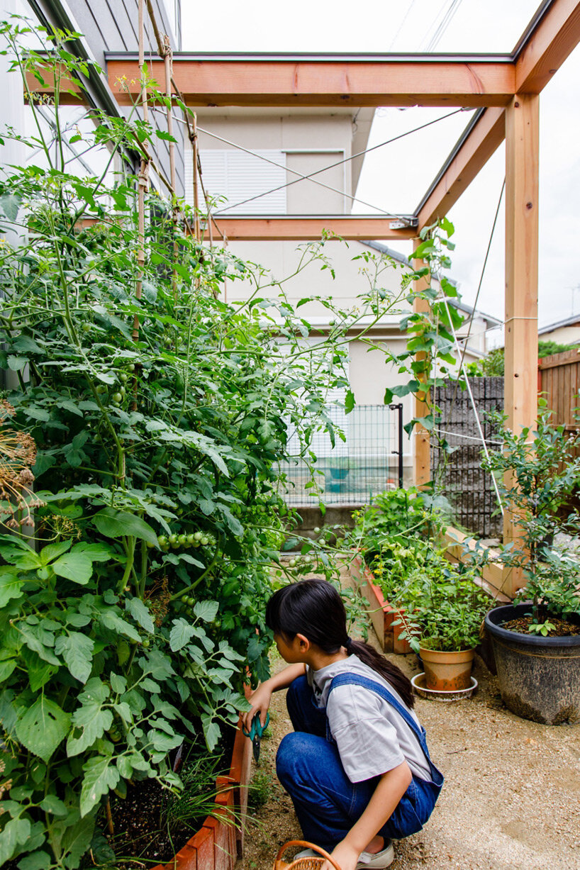 Build an edible garden in soil, pots, or hydroponics