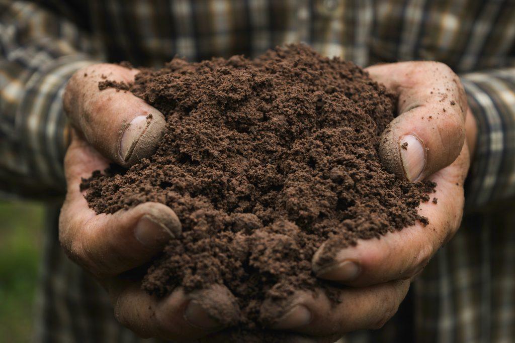 traditional soil