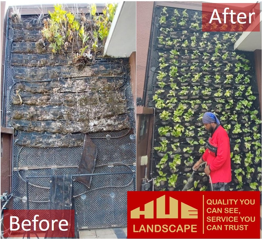 green wall maintenance in singapore