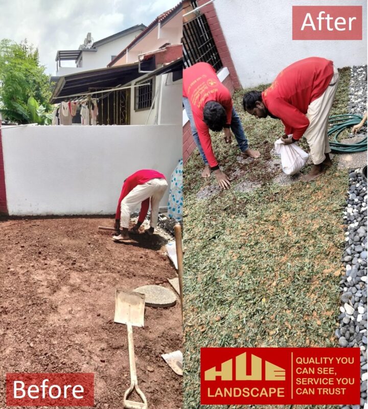 grass supply and install